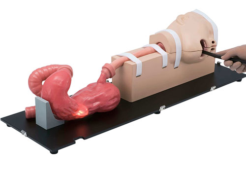 LM-103胃腸鏡模擬器，LM-103胃腸模體，EGD模擬器